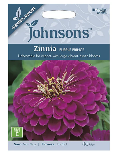 Zinnia - Purple Prince